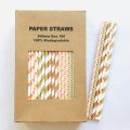 100 Pcs/Box Mixed Orange Brown Gold Fall Elegance Paper Straws