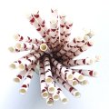 Metallic Foil Red Polka Dot Paper Straws 500 Pcs