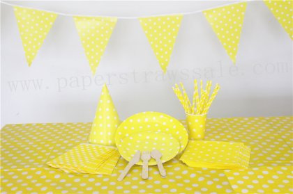 Yellow Dot Party Dinnerware Set for 20 People [tablewareset029]