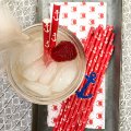 Nautical Red With White Anchor Print Paper Straws 500 pcs