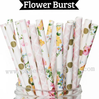 200pcs Flower Burst Wedding Paper Straws Mixed [themedstraws339]