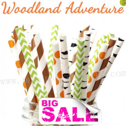 200pcs WOODLAND ADVENTURE Themed Paper Straws Mixed [themedstraws211]
