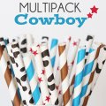 100 Pcs/Box Mixed Cowboy Kids Party Paper Straws