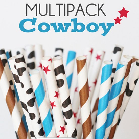 100 Pcs/Box Mixed Cowboy Kids Party Paper Straws - Click Image to Close