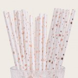 Assorted Star Paper Straws Rose Gold Foil 500 pcs