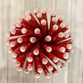 Nautical Red With White Anchor Print Paper Straws 500 pcs