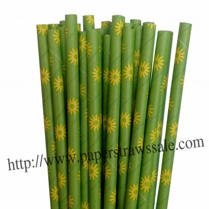 Green Paper Straws with Daisy Flower 500pcs [dpaperstraws005]