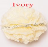 Ivory Tissue Paper Pom Poms 20pcs