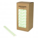 250 pcs/Box Mint Green Striped Paper Straws