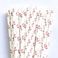 100 Pcs/Box Fruit Green Red Cherry Paper Straws