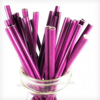 Party Plain Purple Solid Paper Straws 500 pcs [scpaperstraws014]