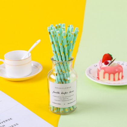 Gold Foil Polka Dot Mint Paper Straws 500 pcs