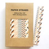 100 Pcs/Box Mixed Party Vintage Halloween Paper Straws