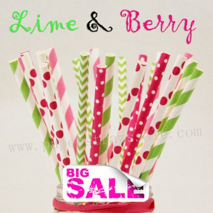 250pcs LIME & BERR Themed Paper Straws Mixed