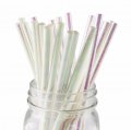 Foil White Iridescent Paper Straws 500 pcs