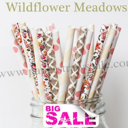 200pcs WILDFLOWER MEADOWS Paper Straws Mixed [themedstraws138]