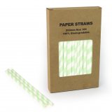 100 pcs/Box Mint Green Stripe Paper Drinking Straws