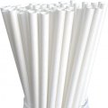 Solid Pure All Plain White Paper Straws Clearance Solid Pure All Plain White Paper Straws Clearance