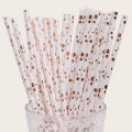 Bubble Assorted Dot Paper Straws Rose Gold Foil 500 pcs