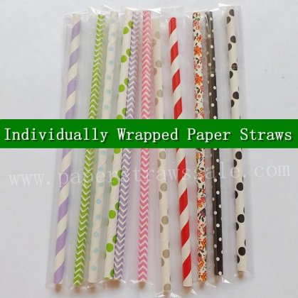 Individually Wrapped Paper Straws 100pcs [ipaperstraws001]