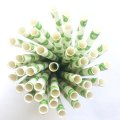 Fruit Kiwi Green Kiwifruit Paper Straws 500 pcs