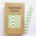 100 Pcs/Box Fruit Green KiwiFruit Kiwi Paper Straws 100 Pcs/Box Fruit Green KiwiFruit Kiwi Paper Straws