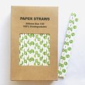 100 Pcs/Box Fruit Green KiwiFruit Kiwi Paper Straws