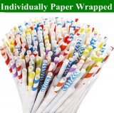 6000 pcs Individually Paper Wrapped Paper Straws