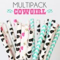 100 Pcs/Box Mixed Cowgirl Kids Party Paper Straws