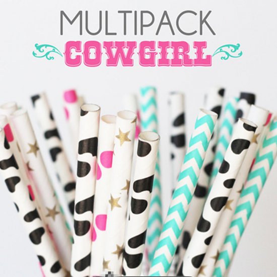 100 Pcs/Box Mixed Cowgirl Kids Party Paper Straws - Click Image to Close