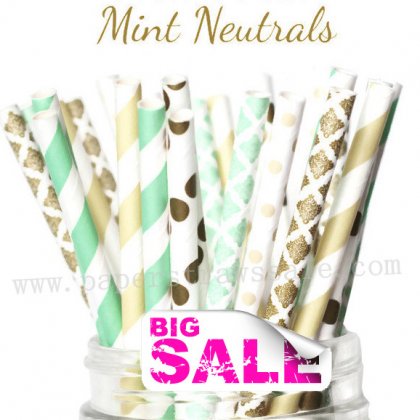 300pcs MINT NEUTRALS Paper Straws Mixed