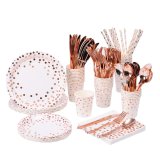 Disposable Rose Gold Dot Dinnerware Set Serves 25