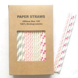 100 Pcs/Box Mixed Hot Pink Silver Sugar Spice Paper Straws